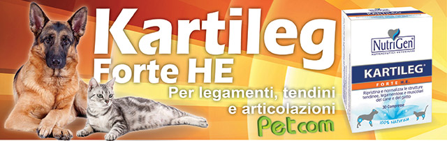 Banner pubblicitario per le articolazioni del cane e del gatto
