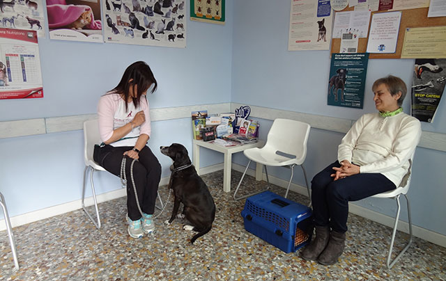 Sala d'attesa di uno studio veterinario con pazienti molto educati 