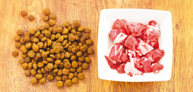 Per le reazioni avverse agli alimenti vediamoun alimento monoproteico che contiene una sola fonte proteica, ad esempio la carne di quaglia, coniglio o cavallo.  