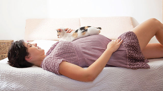 una donna in gravidanza con il gatto