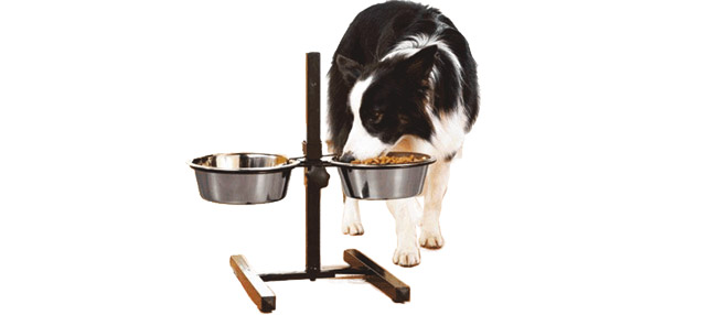 Nella foto un cane che mangia con problemi di rigurgito, la ciotola va sistemata in posizione sopraelevata, usando un piedistallo
