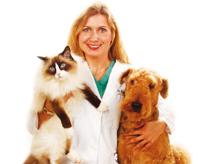 Rivolgersi al proprio Veterinario di fiducia per risolvere i problemi per l'apparato digerente nel cane e gatto