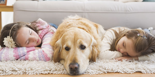 Cane con due bambine sul tappeto