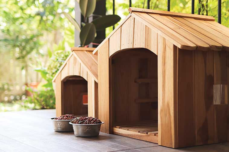 La cuccia per il cane e per il gatto in legno da esterno