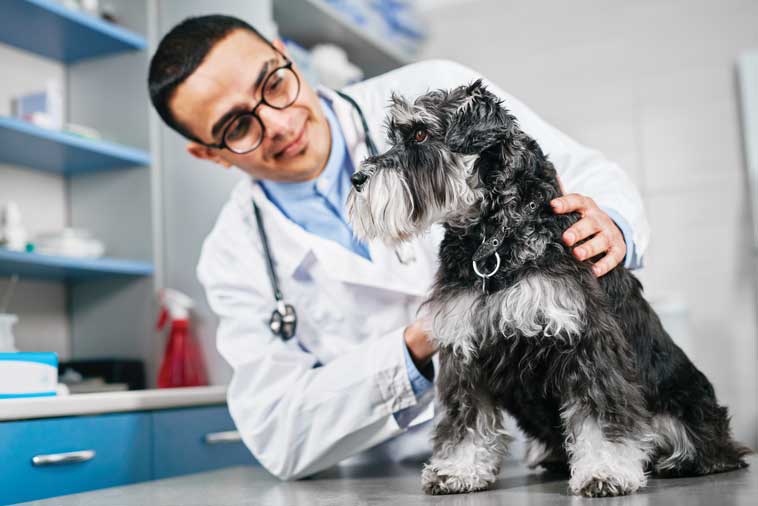 Controllo veterinario