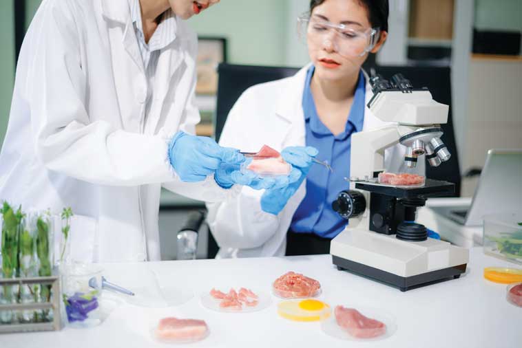 Test in laboratorio