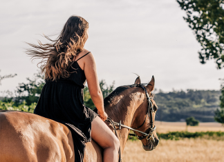 La doma gentile domare il cavallo