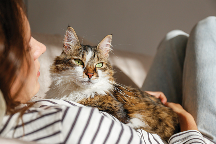 Autunno arriva il cambio di stagione e un meraviglioso gattone in braccio alla sua mamma umana