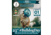 bulldogday-25-viareggio