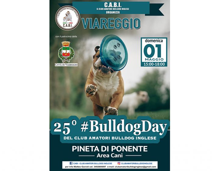 bulldogday-25-viareggio