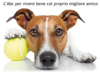 Educare o addestrare un cane come e perche'