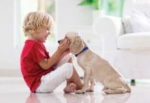 Educazione di base per il cucciolo Educazione-del-cucciolo-di-base