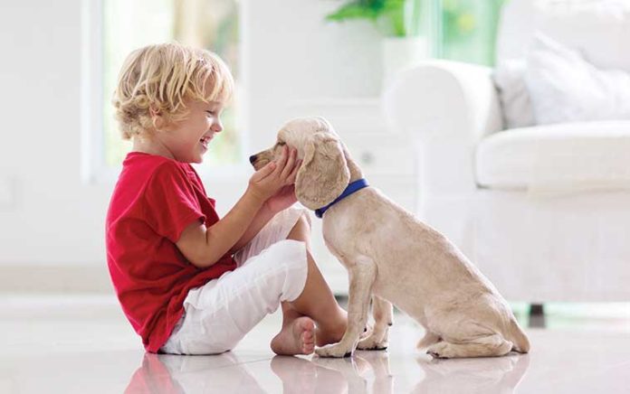 Educazione-del-cucciolo-di-base