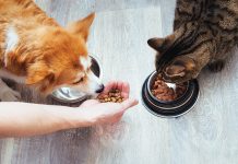 Intolleranze-e-allergie-alimentari