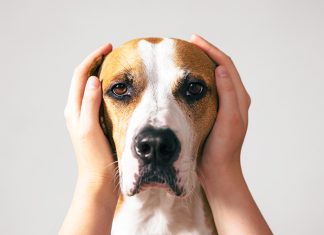 ansia-da-separazione