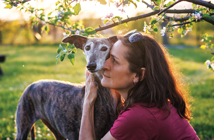 Come-comportarsi-con-il-cane-anziano