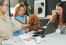 iStock-2207021884-gruppo-di-colleghi-posto-di-lavoro-pet-friendly