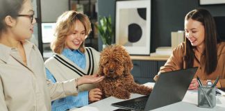 iStock-2207021884-gruppo-di-colleghi-posto-di-lavoro-pet-friendly