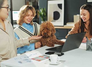 Cani e gatti in ufficio iStock-2207021884-gruppo-di-colleghi-posto-di-lavoro-pet-friendly