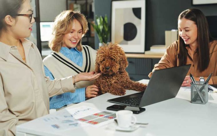 iStock-2207021884-gruppo-di-colleghi-posto-di-lavoro-pet-friendly