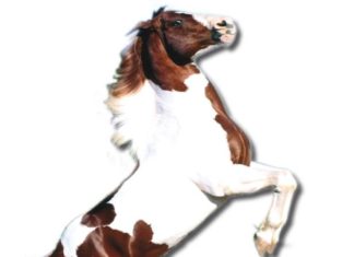 Il cavallo dei Re
