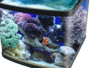 Prezzi acquario: quanto costa mantenerlo?