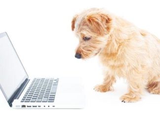 La tecnologia per i PET