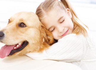 Bambini convivere con cani e gatti