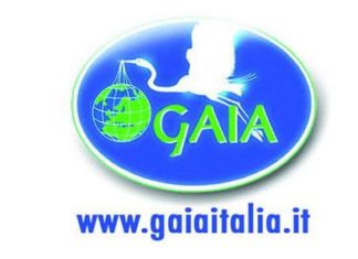 Gaia: aiutiamo in inverno gli uccellini del nostro giardino