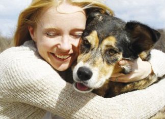 Cane e Gatto anziano la dieta della terza età