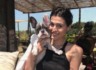 Dai versi dei Poeti ai versi degli animali