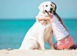 Viaggi e Vacanze! Consigli per l’estate