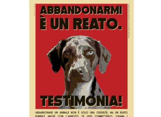 ABBANDONARLO E’ UN REATO…TESTIMONIA!