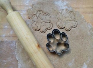 Prima edizione di Follow Your Pet: l’evento dedicato al mondo deglio animali da compagnia