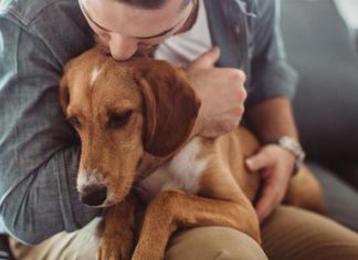 Conoscenza e condivisione per i nostri pet