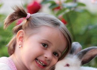 Voglia di Pet adottare un animale da compagnia