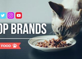 Classifica delle aziende del petfood più social