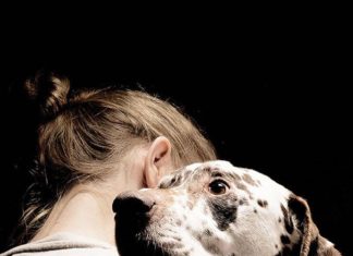 Problemi comportamentali del Cane e del Gatto