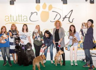Petfamily con Atuttacoda un week end emozionante