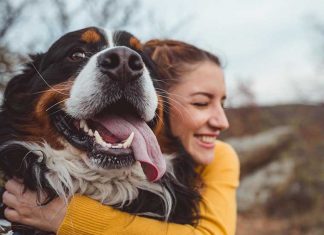 educazione cane cambio stagione con abbraccio