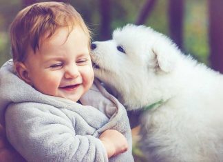 convivere-con-il-cane-e-i-bimbi