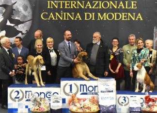 premiazione mostra internazionale canina di modena
