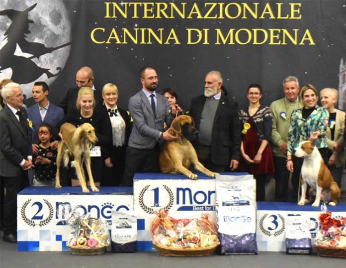 premiazione mostra internazionale canina di modena