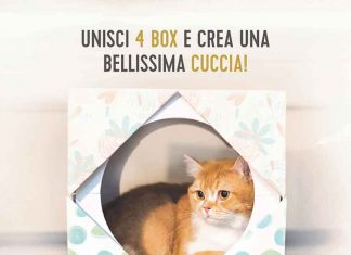 schesir-cuccia-gatto