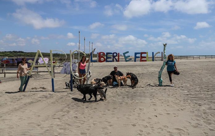 baubeach spiaggia per cani