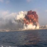 A Beirut Animals Lebanon’ corre in aiuto degli animali esplosione di beirut