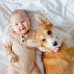 iStock-1384248752-convivenza-neonato-cane