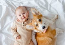 iStock-1384248752-convivenza-neonato-cane