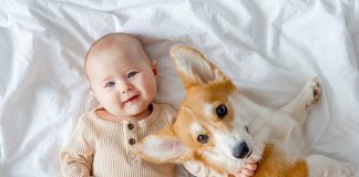 iStock-1384248752-convivenza-neonato-cane