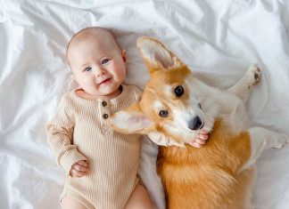 iStock-1384248752-convivenza-neonato-cane